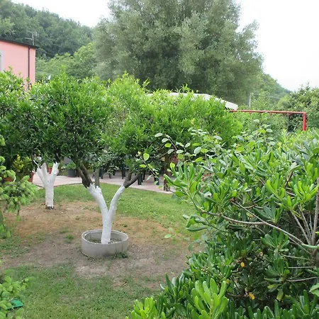 Palinuro Casa Vacanze 